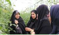 حمایت‌های هدفمند از زنان فعال کشاورزی تقویت شود