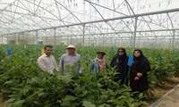 بازدید میدانی از طرحهای گلخانهای مانه و سملقان؛ راستی آزمایی تسهیلات در دستور کار