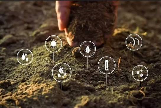 مطالعات خاک‌شناسی باید مبنای طراحی و اجرای طرح‌های نوین آبیاری و کشاورزی قرار گیرد
