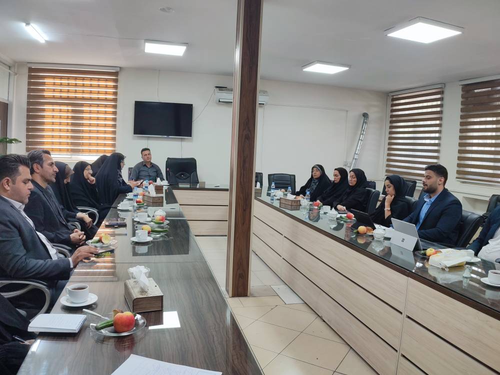 آموزش آنلاین؛ گام تازه برای توسعه اشتغال و بازار زنان روستا و عشایر